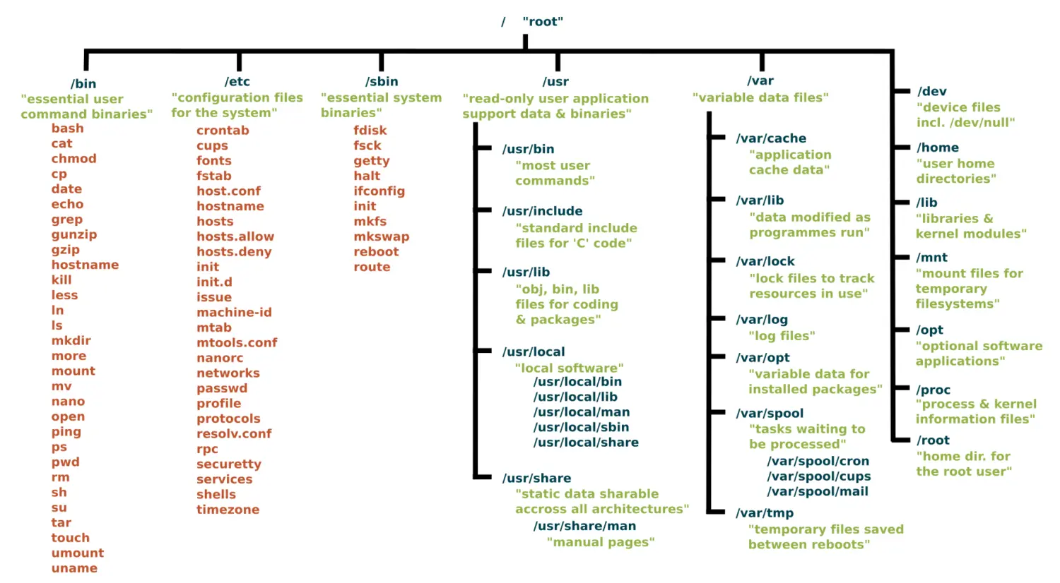 An Overview