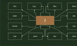 Featured image of post Linux Directories Simplified
