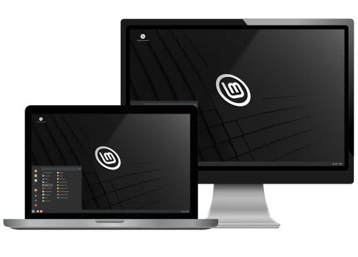 Linux Mint Main Screen with their logo
