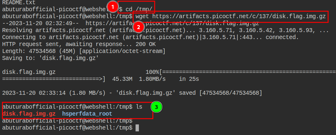 Wget command